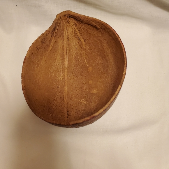 Bug Bear Carved Half Coconut Shell Scoop Signed Jesus' Snake Fisherman Art - Picture 12 of 15